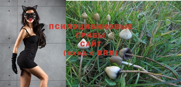спайс Новосибирск
