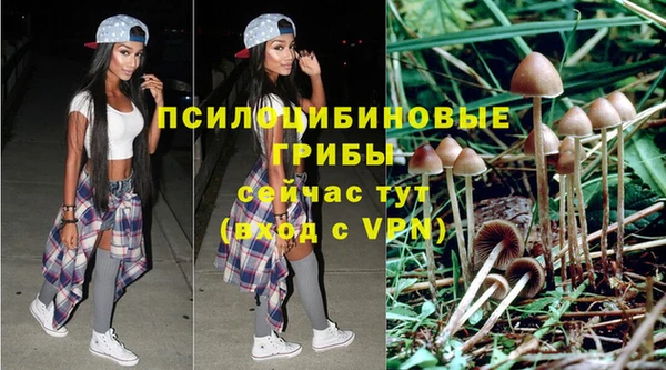 PSILOCYBIN Алексеевка