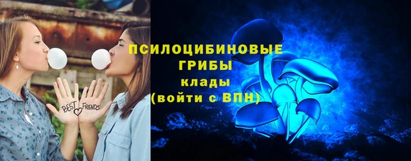 спайс Алзамай
